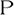 Practice Masters Inc