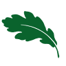 Coeden Fach Community Tree Nursery