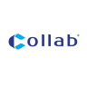 Công ty Cổ phần Giải pháp Collab