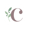 Collier Family Lawyers Cairns