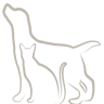 Colonial Park Veterinary Hospital: Suitemeier Kathy DVM