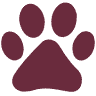 Companion Animal Clinic