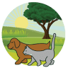 Companion Animal Hospital