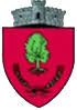 Primăria Bosanci