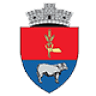Primăria Breaza