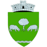 Primăria Cornereva
