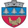 Primăria Lunca Bradului