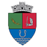 Primăria Reviga