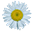 Conacu' Boierului