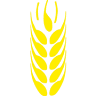 Conaldi