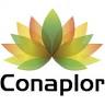Conaplor