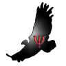 Sport Psychologists - Condor Performance