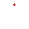 Confection Connection