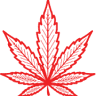 Consumers Cannabis