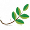 Coopepilangosta R.L