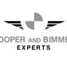 Mini Cooper & BMW Experts