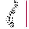 Core Fisioterapia