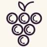 Corner Wines & Wine Bar