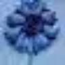 Cornflower Blue