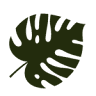 Corporal ATC & Yoga Studio