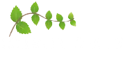 Corrada de Torales