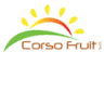 Frutta Secca Corso Fruit Corso Fruit Srl