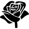 COSMÉTICOS TIQWA
