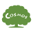 Cosmos International School