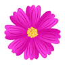 Cosmos Body Care | Asian Massage Middletown NY