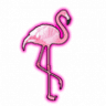 Flamingos Beach Club