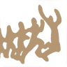 Harbor Family Chiropractic of Costa Mesa - Dr. Stacey Gillis