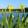 Hurst Farm Holiday Cottages