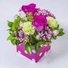 Cottage Garden