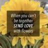Country Living Florist & Fine Gifts