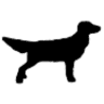Countryside Animal Clinic PC