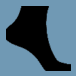 County Wide Foot, Ankle & Wound Care Associates, West Campus: Dr. Desiree Garzon