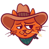 Coverage Cowboy
