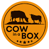Cow in a Box