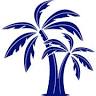 CPA Tampa
