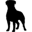 Hook and Ladder Company no.4 (C. Bayens Furniture)