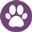 CrazyPet Mascotas