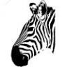 Crossborder Animal Services