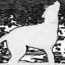 Crowley's Ridge Silver Labs