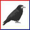 CROW PAINT AND GLASS CO