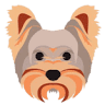 Crystal Pet Store