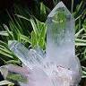 Crystal Seen Trading