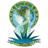 Cultura Mezcal