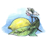 Azienda Agricola Cuonc Cuonc