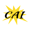 Curry's Auto, Inc.
