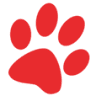 CVCA Cardiac Care For Pets